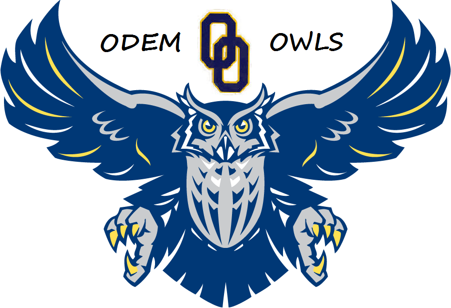 District Logo